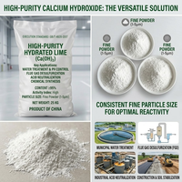 Oxyde de calcium de qualité industrielle, poudre de chaux vive, pureté 98%, 600-1250 mesh, pour la fabrication de granulés LDPE, de tuyaux HDPE et de traitement des eaux usées