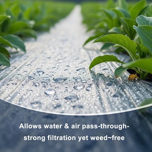 Feuille de paillage <span class=keywords><strong>agricole</strong></span> 25 microns en rouleau PE argenté pour ferme maraîchère et fruitière - Product Image 3