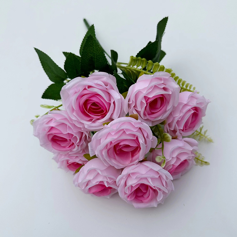 Rosa Madder