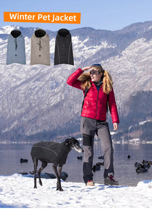Pet Supplies Dog Clothes High Tech Waterproof Warm Winter Dog Costume Puppy Clothes Large Dog Clothes - Product Image 2