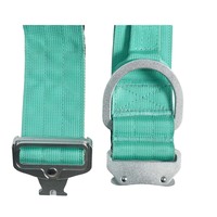 Collier pour chien en nylon vert clair réglable avec rubans, design moderne, tissu rembourré confortable, boucle en alliage d'aluminium argenté avec anneau en D pour