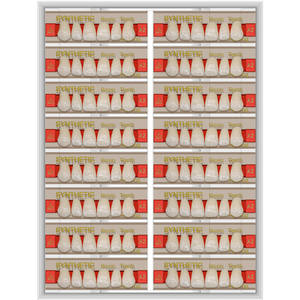 CE ISO fabbrica falsi denti di ricambio 2 strati 3 strati denti acrilici dentali dentiera denti artificiali - Product Image 6