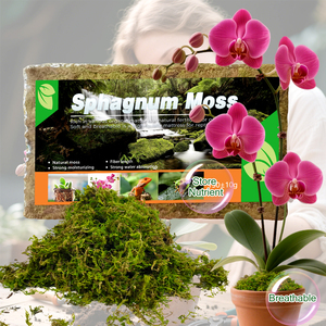 Musgo Sphagnum Seco Orgánico de Alta Calidad, Suministros Premium para Reptiles y Anfibios para la Hibernación/Escalada de Tortugas - Product Image 5