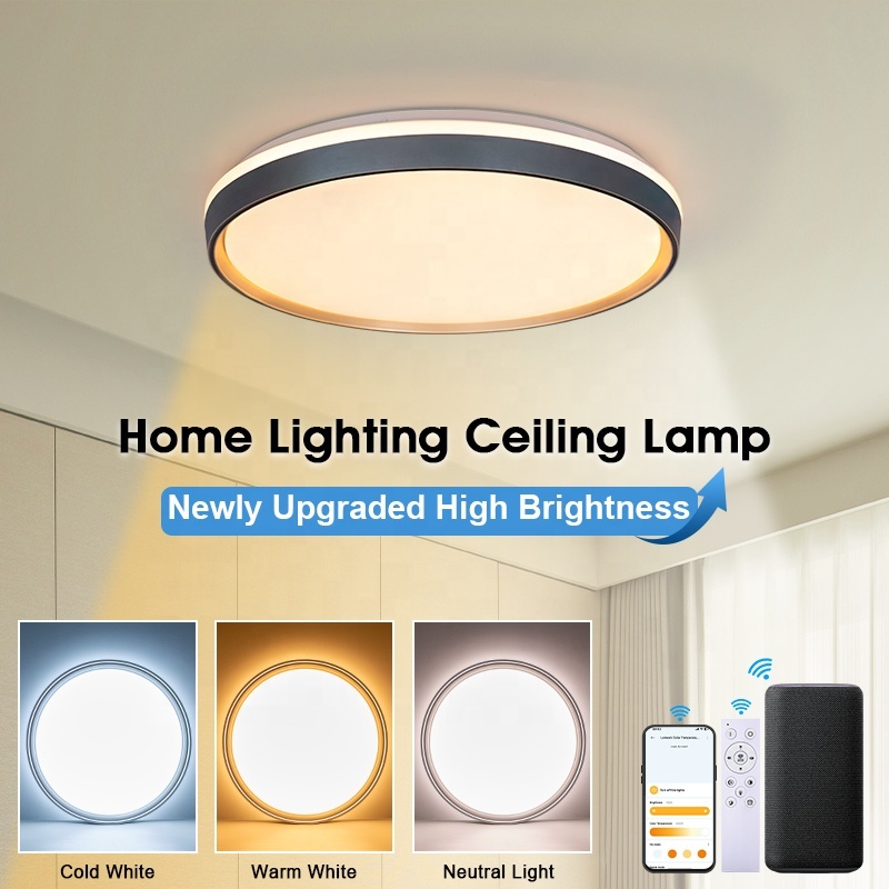 Contemporary Round Rectangle LED Ceiling Lamp Remote Control Surface Mounted Decorative Light for Home Office & Hotel Restaurant