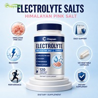 OEM Wholesale Electrolyte Salts Capsules 120 Count Bulk Supplement with Himalayan Pink Salt Private Label Distributor Supply