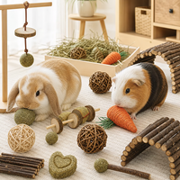 Set Mainan Kayu untuk Hewan Kecil (Hamster, Guinea Pig, Kelinci & Burung Beo) - Mainan Kunyah Buatan Yantai Shandong