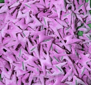 Peluche de Animal de Peluche de Diseño Relámpago BSBH Altamente Detallado, Fabricantes Personalizados de Peluches de Anime - Product Image 2