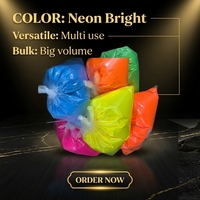 12 couleurs solvant Fluorescence poudre Pigment néon coloré huileux UV Fluorescent Pigments pour Gym craie savon Maki