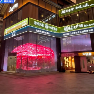Flexible Led <b>Film</b> Crystal Display Screen P3.91-7.8Transparent on Shopping Mall Glass PSLED Transparent Flexible Led <b>Film</b> Screen - Product Image 5