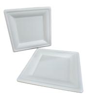 Plateau carré jetable de 10 pouces en pulpe de bagasse de canne à sucre compostable, biodégradable et écologique pour la restauration