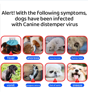 कैनाइन परवो वायरस एंटीजन रैपिड टेस्ट किट cpv कुत्तों के लिए तेजी से स्ट्रेप टेस्ट - Product Image 4