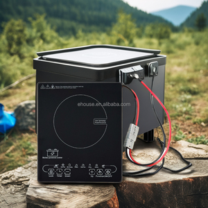 Mới nhất duy nhất 24V 48V năng lượng mặt trời DC Bếp cảm ứng pin-Powered Drop-in thiết kế máy tính để bàn cho trong nhà/ngoài trời sử dụng khách sạn đối với chúng tôi - Product Image 2