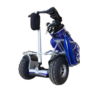 3200W 19 Inch Thông Minh Thông Minh Tự Cân Bằng Động Cơ Chariot Golf Scooter Xe Golf Điện - Product Image 1