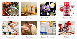 Fornitura arcobaleno 100% gelso naturale frutta in polvere succo di gelso in polvere estratto di gelso frutta - Product Image 4