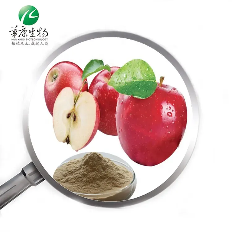Phlorhizin Polyphenols Apple Cider Vinegar Fruit Juice Powder Apple Extract