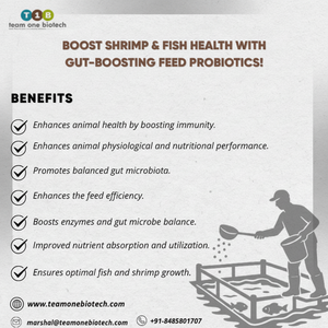 Optimización del rendimiento de la acuicultura, probióticos alimenticios para una salud y crecimiento óptimos de los peces - Product Image 1