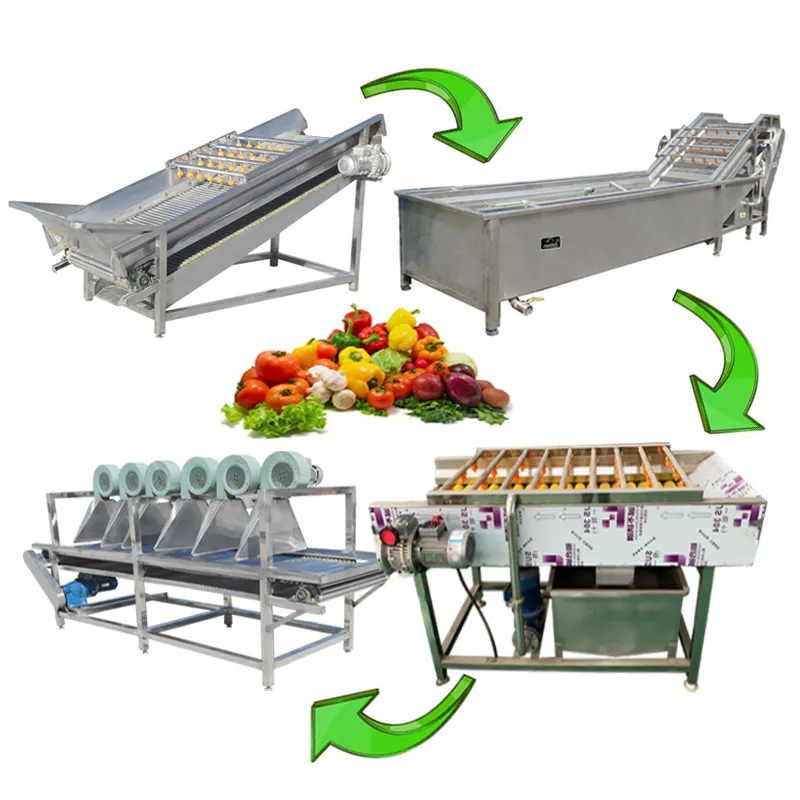 Obst Gemüse Apple Waschen Und Trocknen Maschine Waschen Produktion Linie