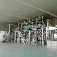 Machine à moudre la farine de blé 50T haute efficacité en acier inoxydable pour le marché du Vietnam et de l'ASEAN