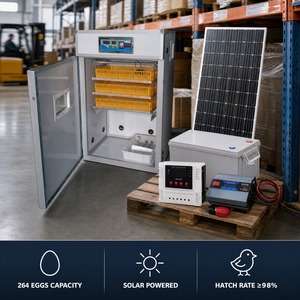 Incubadora Solar <span class=keywords><strong>de</strong></span> Huevos, Máquina para Incubar 264 Huevos, Incubadora Automática <span class=keywords><strong>de</strong></span> Huevos <span class=keywords><strong>de</strong></span> Pollo para Incubación en Zambia - Product Image 5