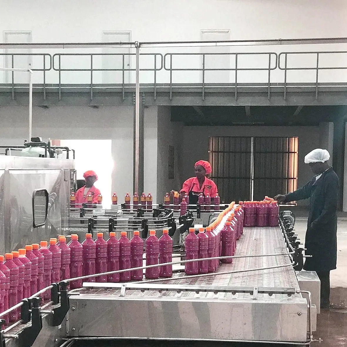 เครื่องจักรโรงงานวางมะเขือเทศ สายการผลิตแปรรูปมะเขือเทศที่ผ่านมา เครื่องบดเยื่อมะเขือเทศ