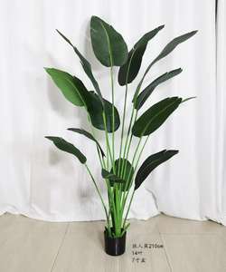 Plantas Artificiales para el Hogar AF7002, Planta de Viajero de Palma, Ave del Paraíso, Bonsái, Ave del Cielo, <span class=keywords><strong>Ravenala</strong></span> Artificial - Product Image 4