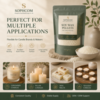 Envío Gratuito, Cera de Soja Orgánica Natural 444 de Bajo Punto de Fusión, Perlas de Cera de Soja Perfumadas, Cera de Soja Granulada para Hacer Velas