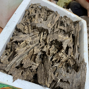 N ° 1 Premium Cultivé Oud Bois Agar Chip Encens Souper Qualité Parfum Du Vietnam Pleine Huile Résine De Luxe Haute Qualité OWC2 - Product Image 1