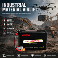 Аккумуляторный блок VIWIPOW 66.6V 18S 22000mAh 7C полутвердотельный для логистических дронов, перезаряжаемый, по заводской цене