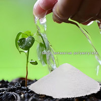 Polyacrylate de potassium SAP Hydrogel Agent de rétention d'eau pour la conservation de l'humidité du sol agricole