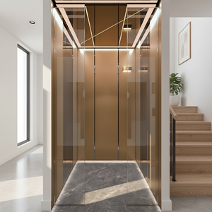 Ascenseurs domestiques modernes personnalisés sans engrenages en acier inoxydable PVC, diverses couleurs et styles, <span class=keywords><strong>pour</strong></span> villa, petite capacité 2-3 personnes, 400 kg, monte-escalier HJ - Product Image 1