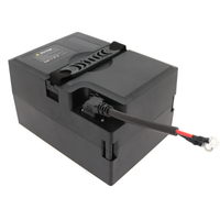 Paket Baterai Lithium LiFePO4 Solid State 48V 20Ah untuk Kendaraan Listrik & Peralatan Tenaga