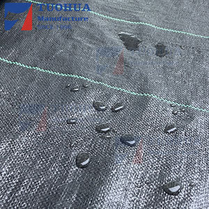 Alfombrilla de control de <span class=keywords><strong>malas</strong></span> <span class=keywords><strong>hierbas</strong></span> tejida PP/Tela de <span class=keywords><strong>malla</strong></span> <span class=keywords><strong>para</strong></span> cubrir el suelo/cubierta de suelo de jardinería de plástico negro agrícola - Product Image 2