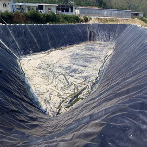 Tấm bảo vệ Polyetylen mật độ cao 2mm HDPE geomembranes cho trang trại tôm - Product Image 4