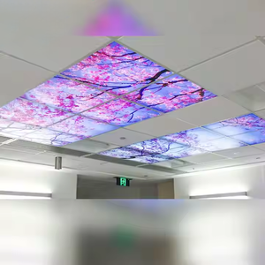 Bbier lõm dẫn bảng điều chỉnh thay đổi độ sáng mỏng xuống bầu trời xanh đám mây Skylight Bảng điều chỉnh ánh sáng Trần khuếch tán nhựa bao gồm thay thế - Product Image 1