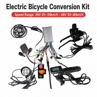 Kit de Conversión de Bicicleta Eléctrica de 350W, Motor de Buje Delantero/Trasero, Kit de Rueda para Bicicleta Eléctrica de 36V/48V, Acelerador LCD, Luz LED, Venta al por Mayor OEM/ODM