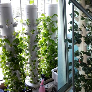 Système de culture hydroponique vertical DIY pour jardin et balcon, pot de plantation de fraises, serre, coupelles de colonisation en PP - Product Image 5