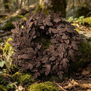 Couronne de feuilles d'érable simulées de 24 pouces et 26 pouces, décoration de porte de Noël pour l'entrée de la maison - Product Image 2