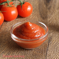 Ketchup biologique personnalisé à succès, sauce tomate, concentré de tomate, sauce ketchup, concentré de tomate