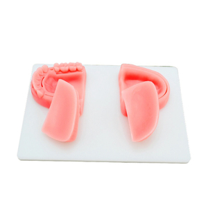 Almohadilla de sutura de ortodoncia, módulo Dental, almohadilla de sutura quirúrgica, Kit de práctica para almohadillas de sutura dental médica para dentistas, Ideal para abolladuras - Product Image 2