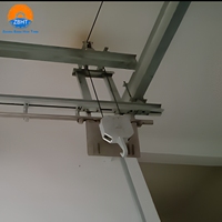 Équipement d'abattage de bétail, machine de levage de bétail, palan électrique, capacité de 1000 kg pour la machinerie d'abattage des vaches