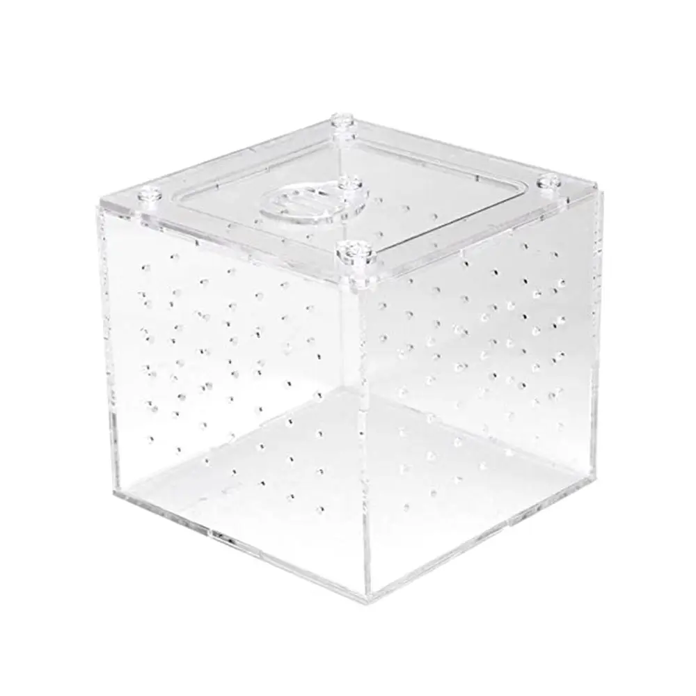 Thoáng Khí Acrylic Xe Tăng Bò Sát Côn Trùng Vuông Nhện Thằn Lằn Giống Hộp Lồng Leo Pet Terrarium Với Trượt Bìa