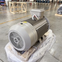 Moteur électrique 90 kW/440 kW à bobine, 3000 tr/min, sans balais, 2 pôles, avec chauffage par induction, pour machine à grignoter les graines et cage à ardillons