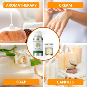 Minyak daun Platycladus Orientalis, perlengkapan bahan mentah tanaman pertumbuhan rambut kosmetik kelas minyak daun Arborvitae - Product Image 3