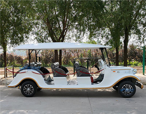 Carritos de Golf Clásicos para Turismo en Venta, Buggy Eléctrico para Adultos, Auto Retro Vintage para Turismo - Product Image 5