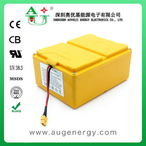 전동 공구 및 전기 자동차용 24V 10Ah ~ 120Ah 맞춤형 LiFePO4 배터리 팩 - Product Image 5