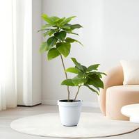 Feuilles de figuier artificielles de haute qualité de 130 cm, vertes toute l'année, pour la décoration intérieure, lot multi-pièces pour mariage, Pâques, nouveautés