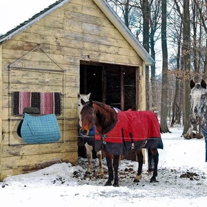 Horshi Étagère robuste pour couvertures <span class=keywords><strong>de</strong></span> cheval, échelle pour suspendre les selles, les couvertures et les tapis - Product Image 6