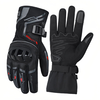 Gants de moto anti-chute pour l'hiver, pour hommes et femmes, imperméables, coupe-vent et en tissu peluche, équipement de protection pour moto