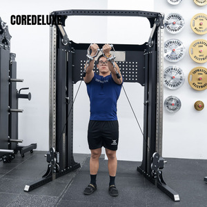COREDELUXE <span class=keywords><strong>FLYBIRD</strong></span> - Product Image 4