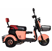Mini tricycle électrique à trois roues pour passagers, vélo cargo, batterie amovible, tricycles pour adultes, scooter électrique à trois roues